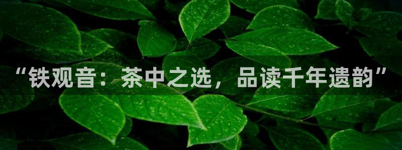 安信主管ke金12手12指ho