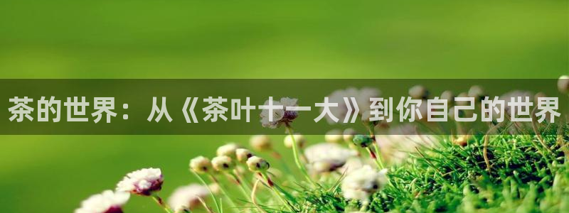 安信12注册登录平台