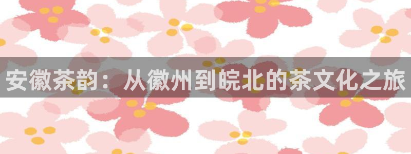 安信12负责人
