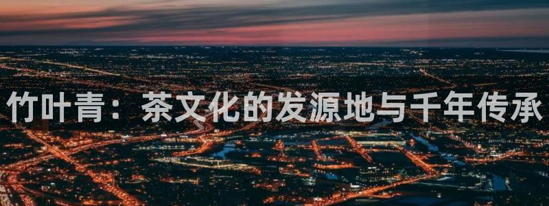 安信12招商
