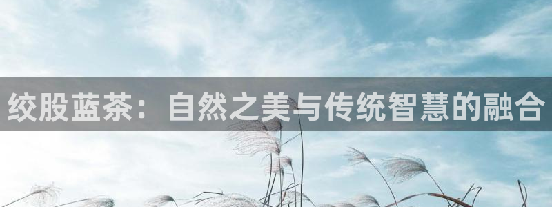 安信证券 12位