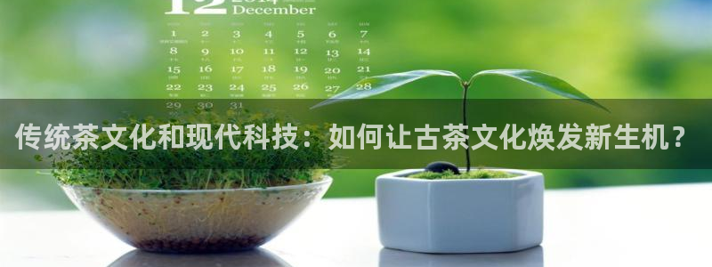 安立信T12测评