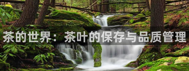 安信12