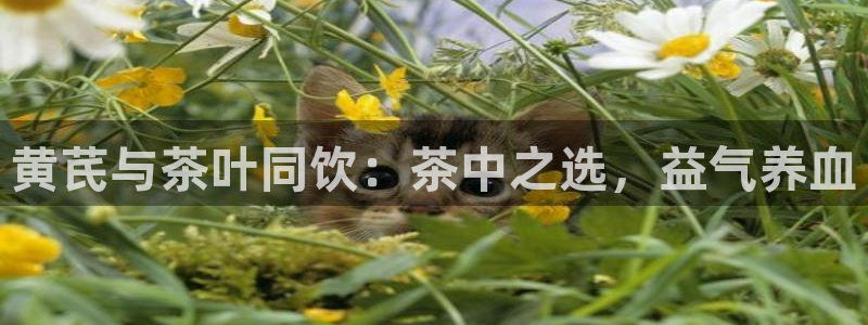 奇安信12流转场