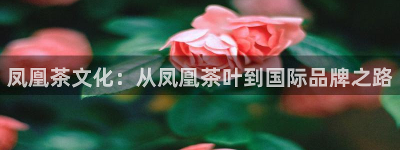 安信12周年庆