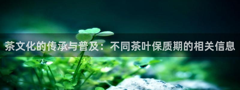 安信12是什么平台