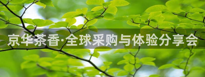 安信12怎么下载