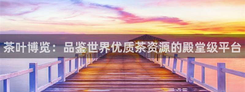 安信证券 12位