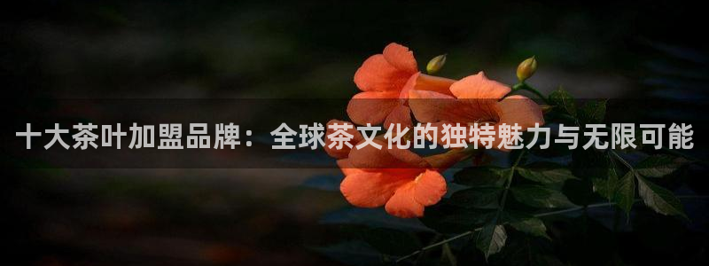安信12平台可靠吗