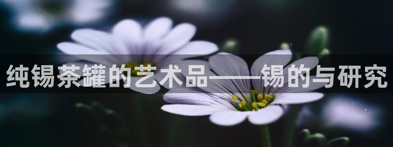 安信12娱乐平台