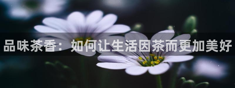 安立信12改装