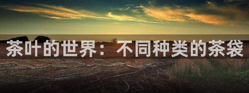 安信可12f代码