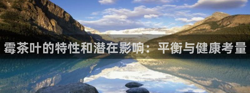 安信12是什么