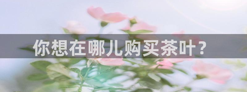 安信12挂机