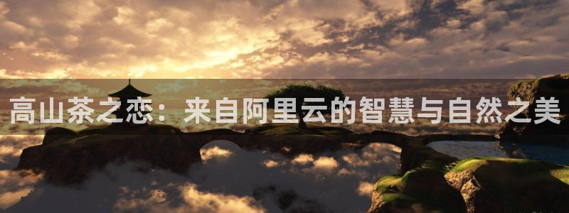 安立信T12测评