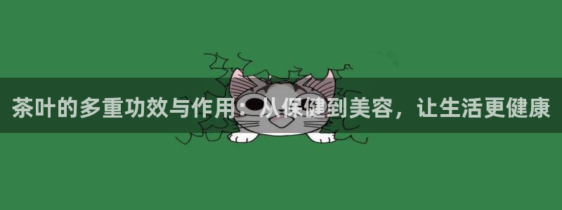 安信cw12系列