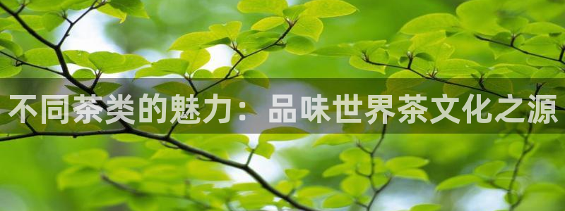 安信可wb12
