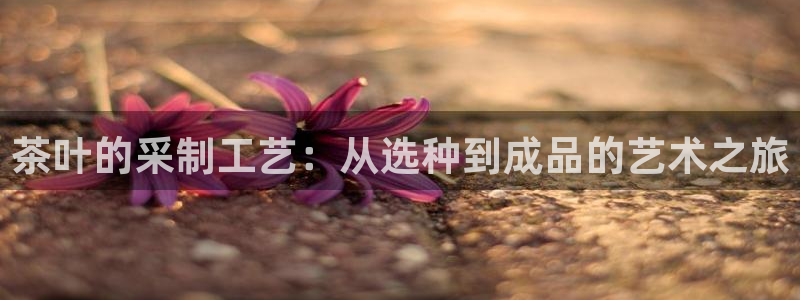 安信12平台下载