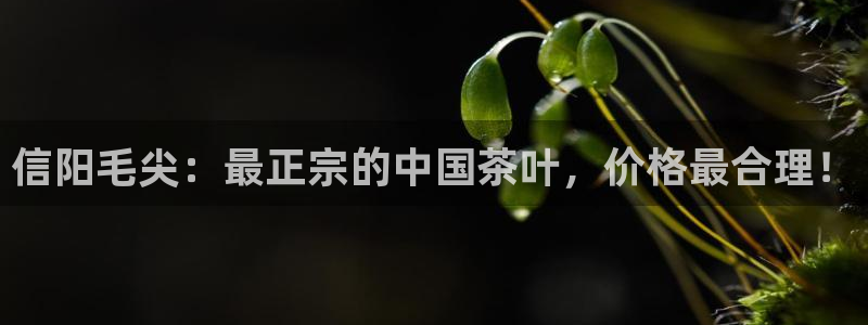 安信12下载