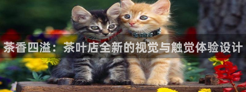 安信12官网