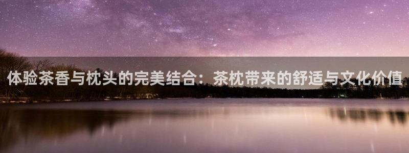 安信12代理