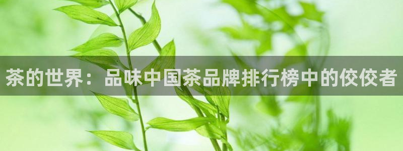 安信t12