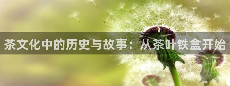 安信12开户
