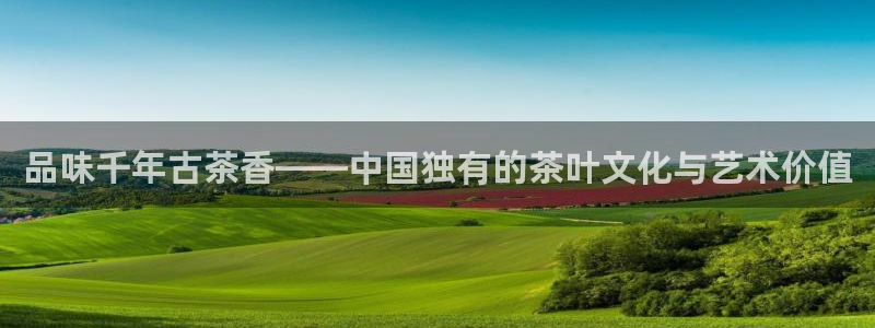 安信可f12