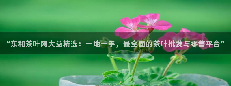 安信12娱乐