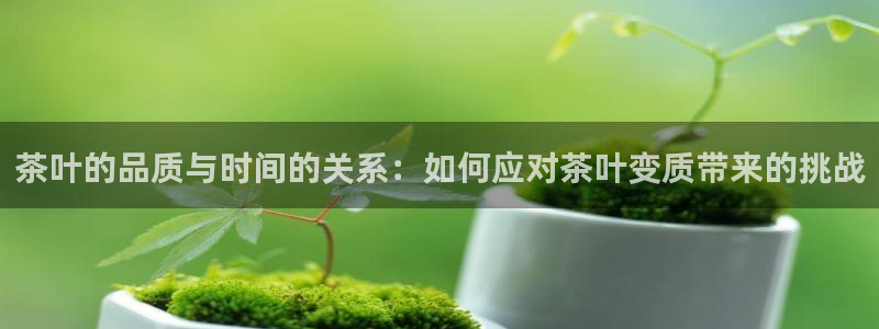 安信122853179Z空间