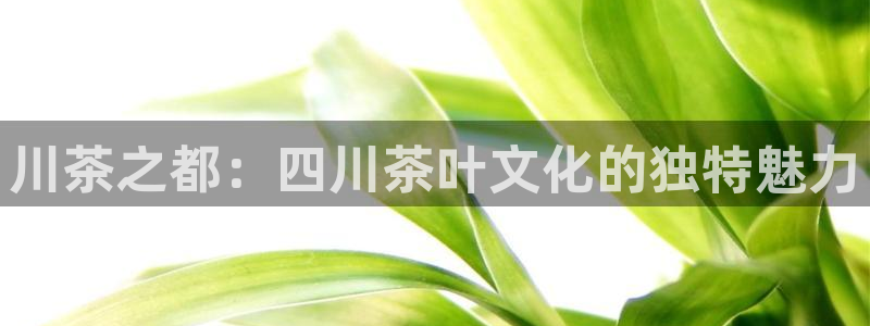 奇安信12流转场