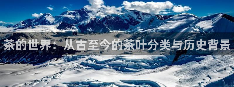 安信12周年