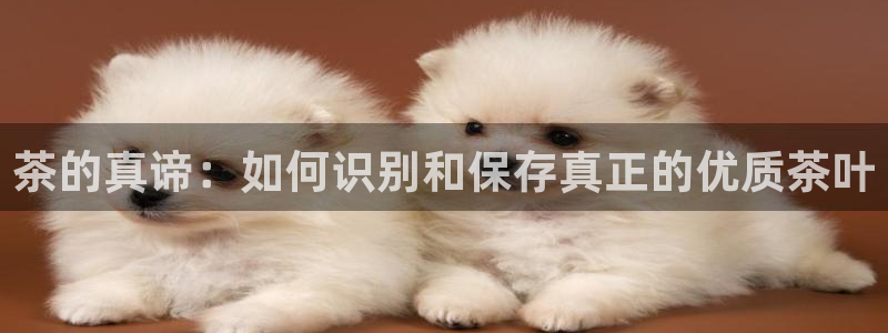 安信cw12系列