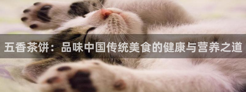 安信12级粉丝团福利