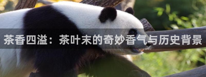 安信12彩票app下载