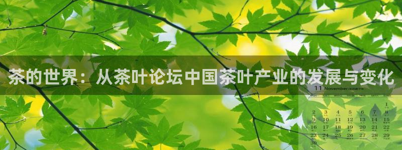 安信可12f