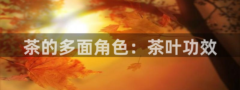 安信主管su金12手12指tq