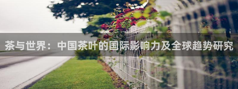 安信12平台怎么样
