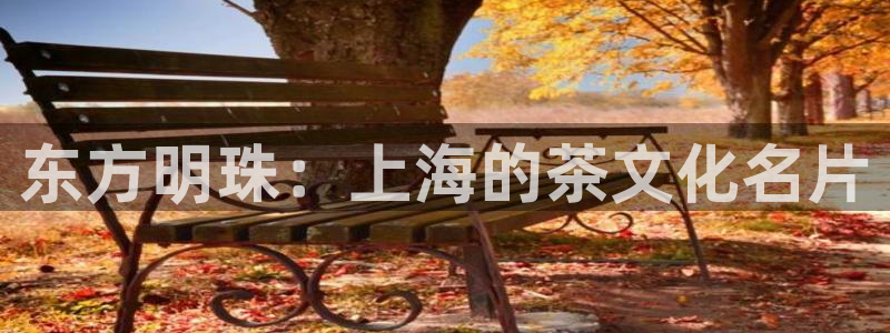 安信可12f12e