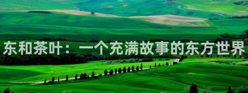 安信12平台最新消息