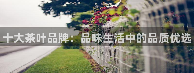 安信招商rk金12手12指jc