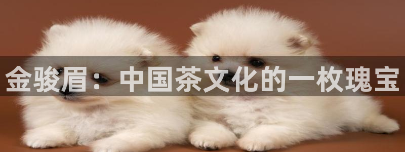 安信12级大众