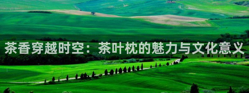 安信12娱乐平台
