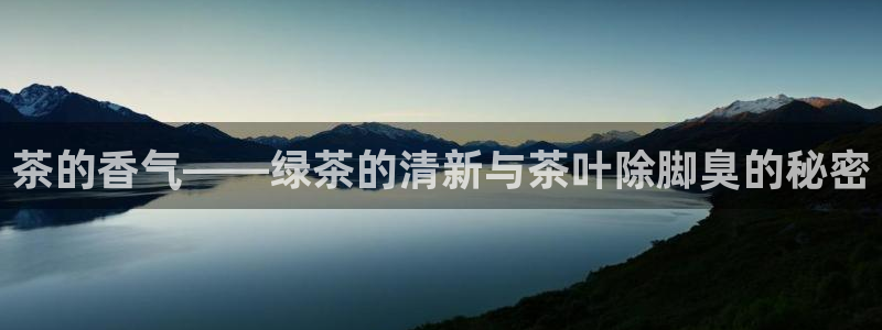 安信12娱乐主管