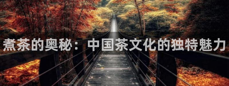 安信证券手机壳12