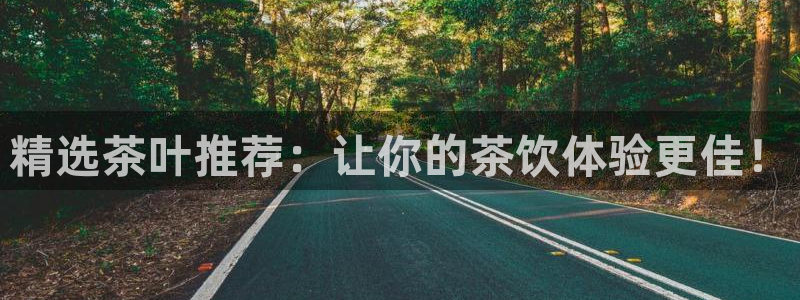 安信12软件介绍