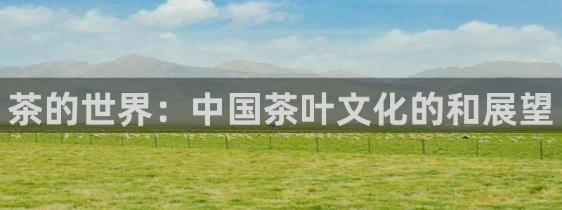 安信12专用挂机