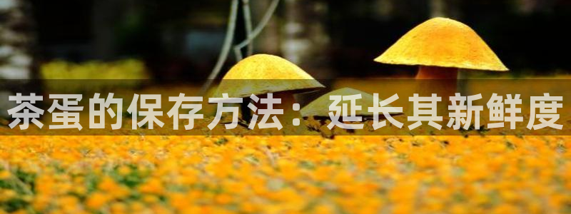 安信12正版下载