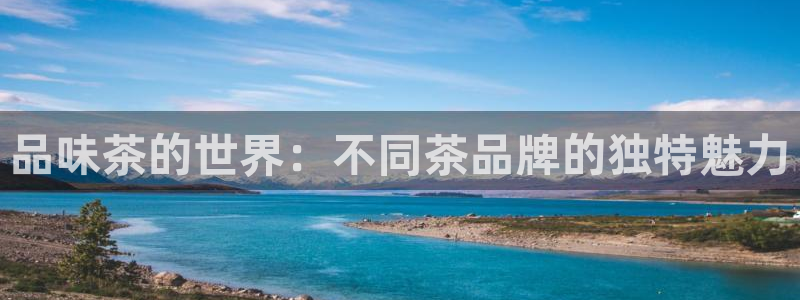 安信12平台的网址