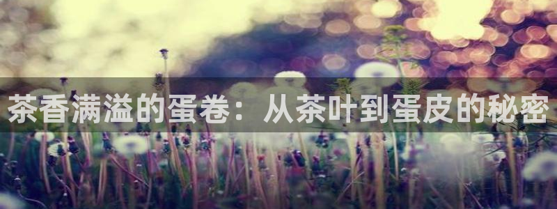 安信12娱乐平台